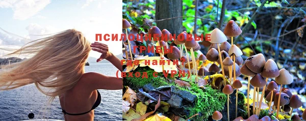 меф Мегион