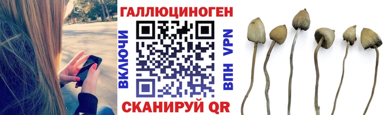 Галлюциногенные грибы Magic Shrooms  даркнет сайт  Кушва 